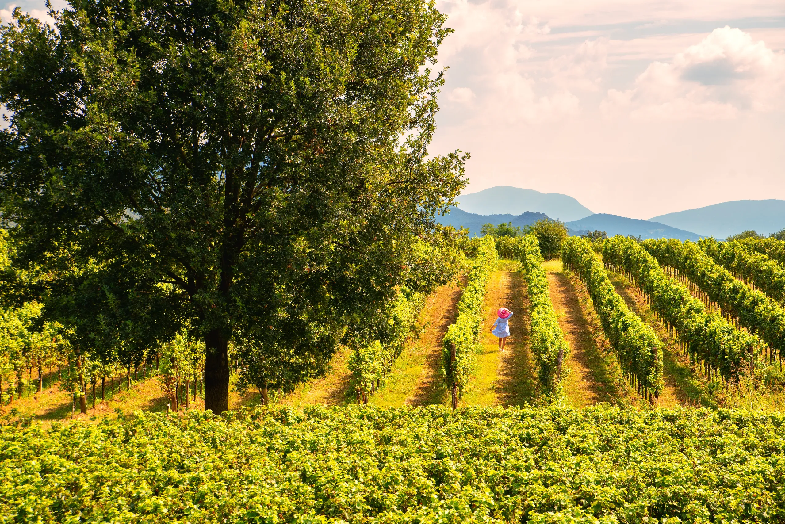Verona, Franciacorta & Bergamo