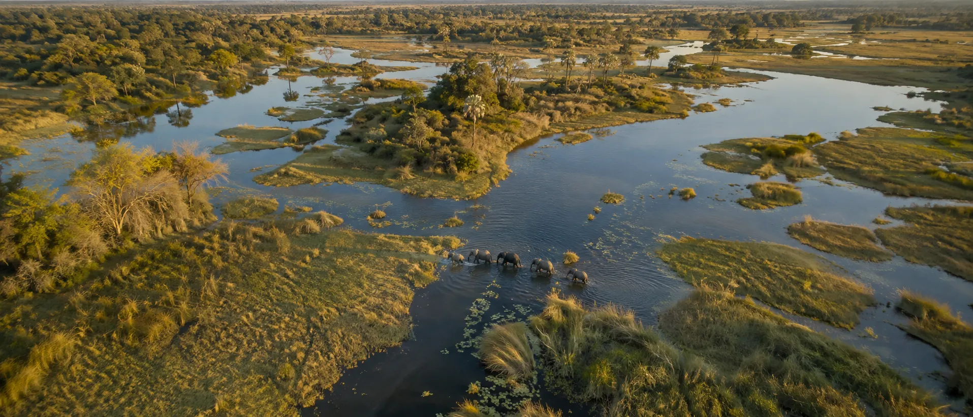 A Zest for African Adventure