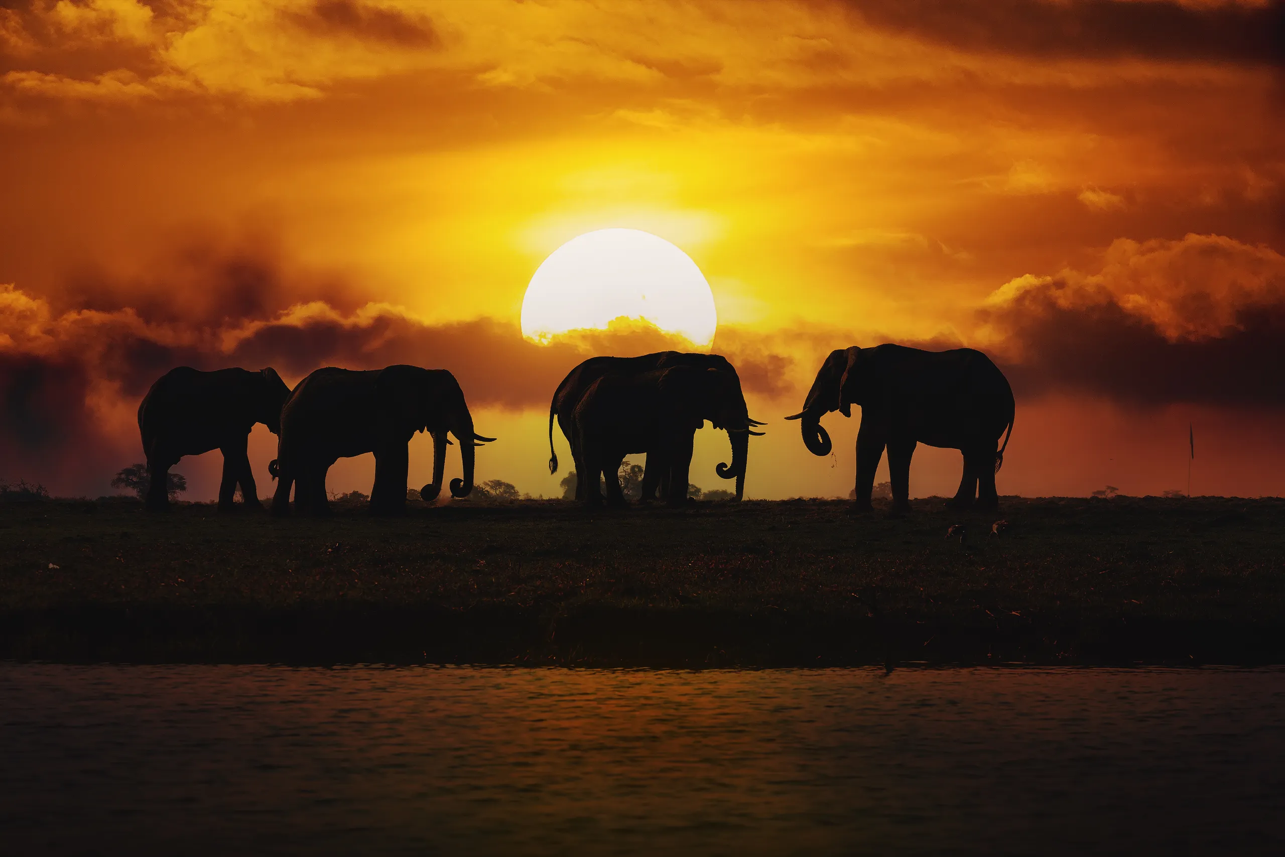 Kruger Region to the Zambezi