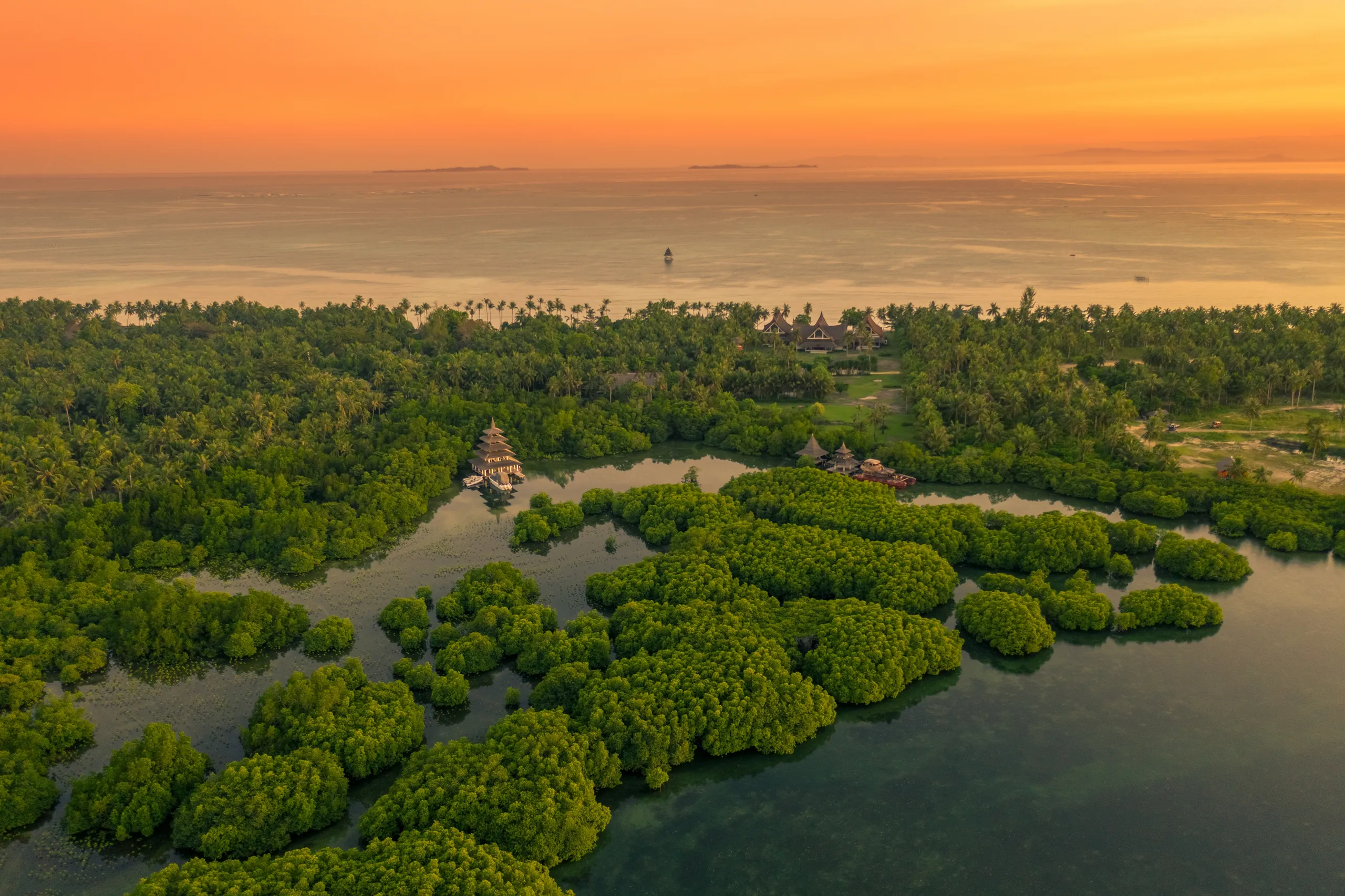 Ecuadorian Amazon