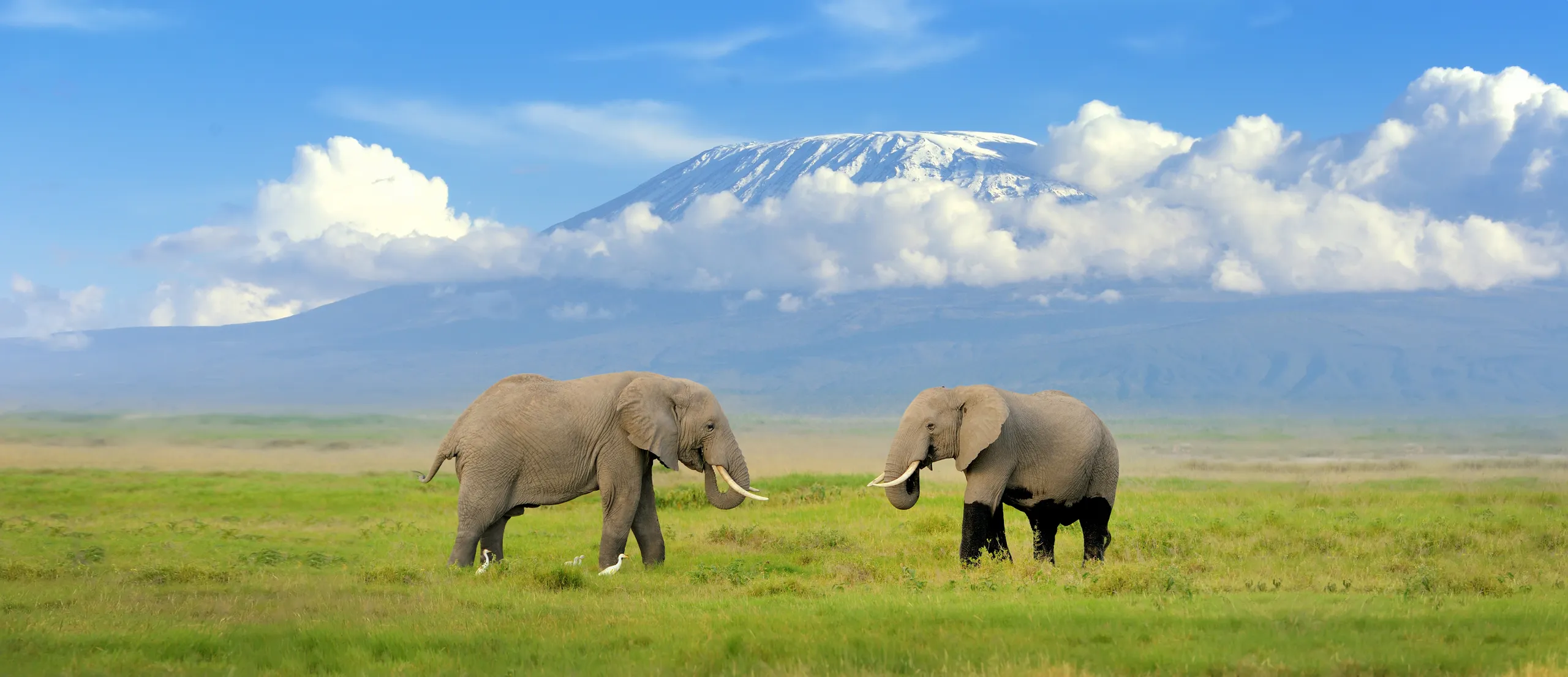 Arrival in Kilimanjaro Region
